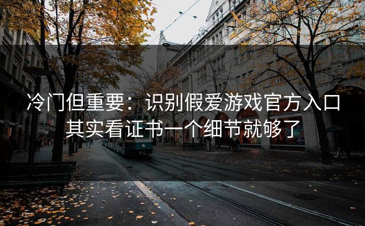 冷门但重要：识别假爱游戏官方入口其实看证书一个细节就够了
