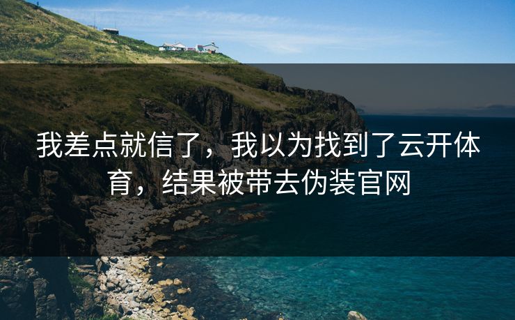 我差点就信了，我以为找到了云开体育，结果被带去伪装官网